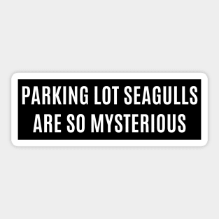 Parking lot seagulls are so mysterious ,Funny Bumper Sticker